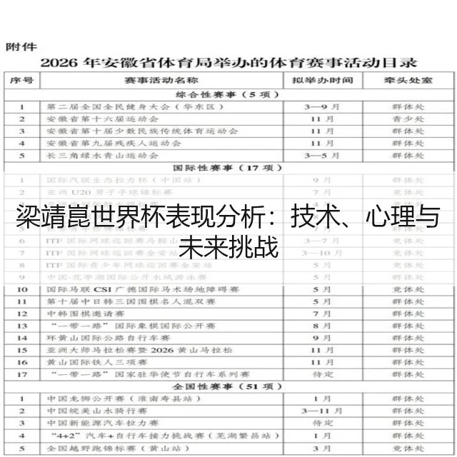 梁靖崑世界杯表现分析:技术、心理与未来挑战